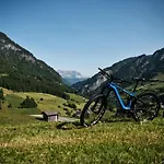 Edelweiss - Salzburg Mountain Otel 5*