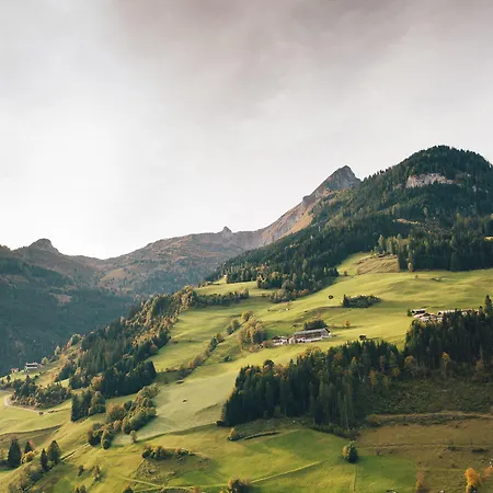 Edelweiss - Salzburg Mountain Hotel