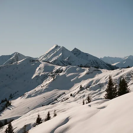 Hotel Edelweiss - Salzburg Mountain 5*