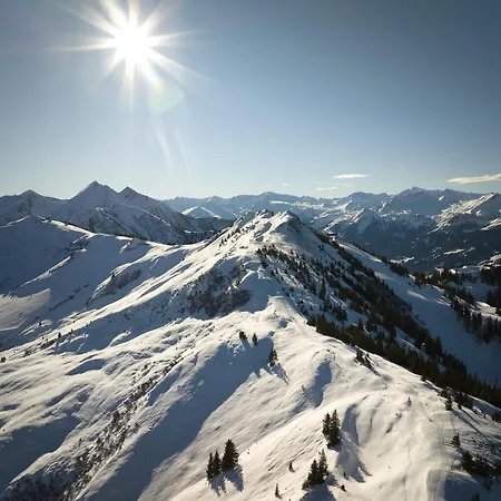 Hotel Edelweiss - Salzburg Mountain 5*